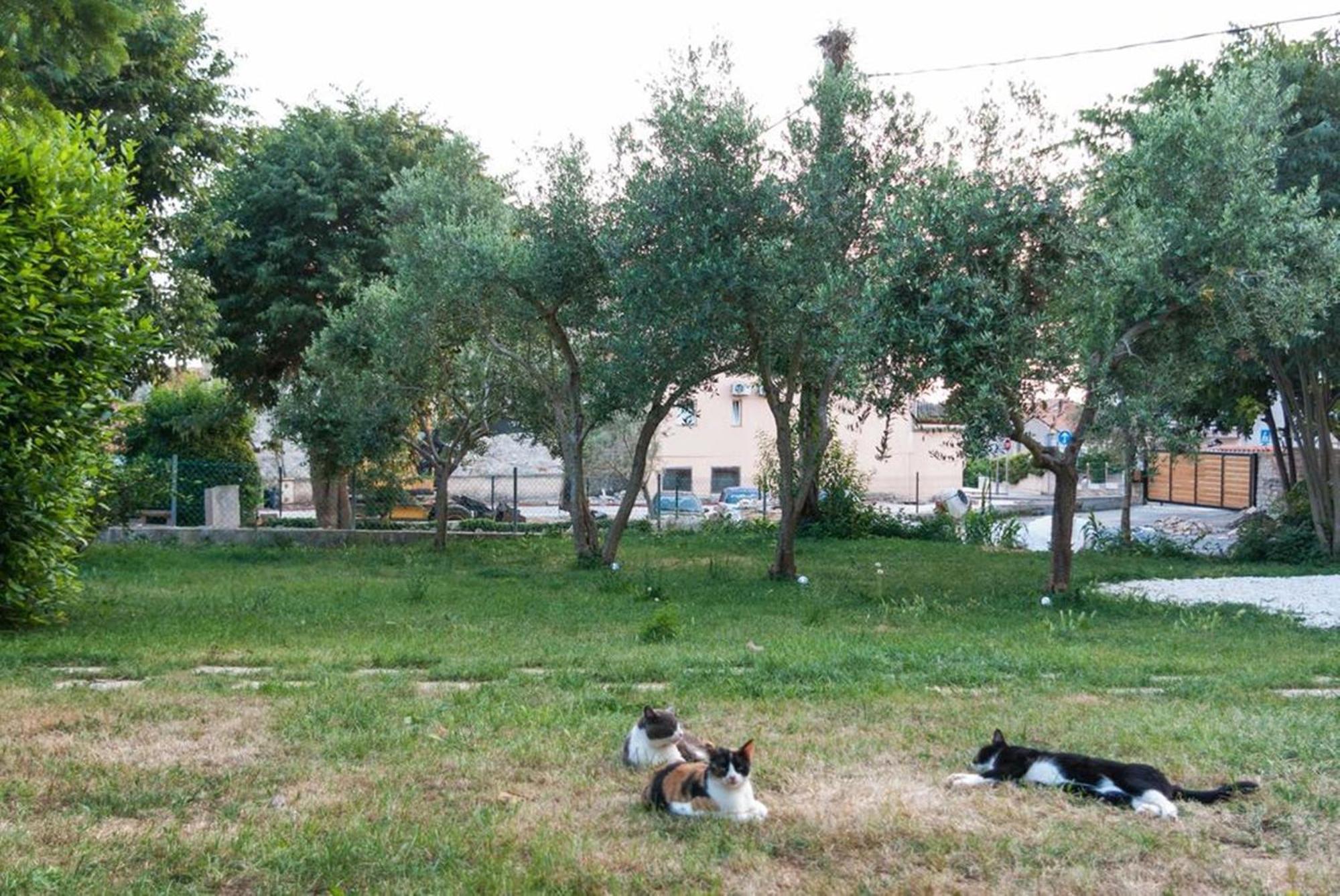 Villa Mediterranea - Apartments メドゥリン 部屋 写真